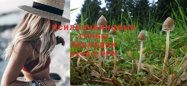 марихуана Абинск