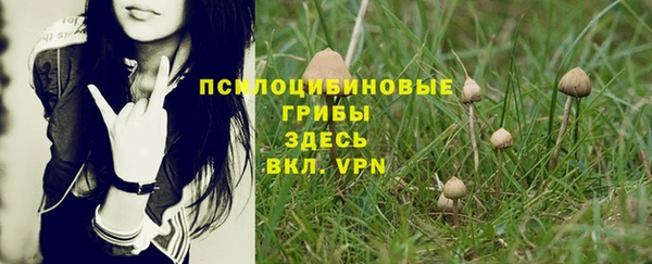 меф Абаза