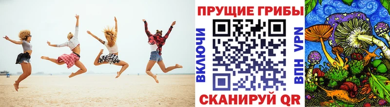 наркота  Ядрин  Галлюциногенные грибы Magic Shrooms 